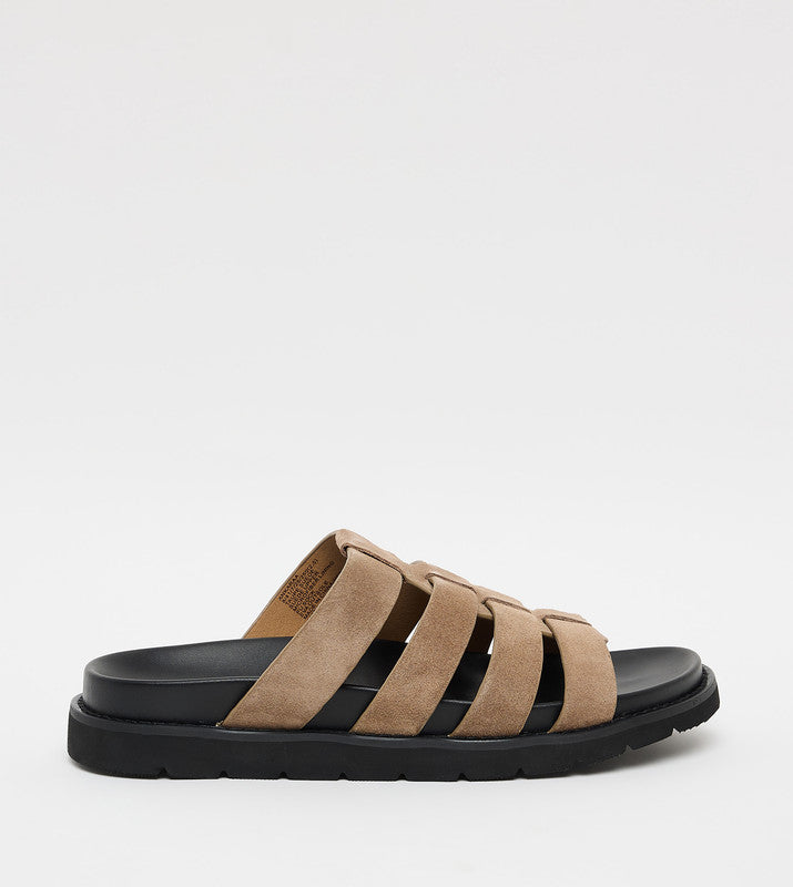 Ankaraa Grey Men's Casual Sandals